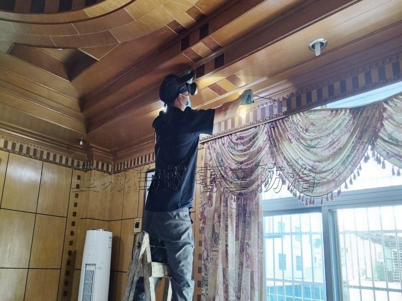 【仪器检测】深圳宝安区白蚁防治中心电话【138 - 2427 - 5151】家里发现白蚁怎么办？