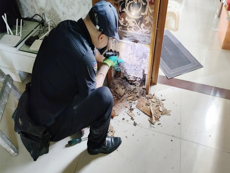 深圳宝安白蚁防治上门服务｜专业检测｜快速消杀｜24小时应急处理【138 - 2427 - 5151】