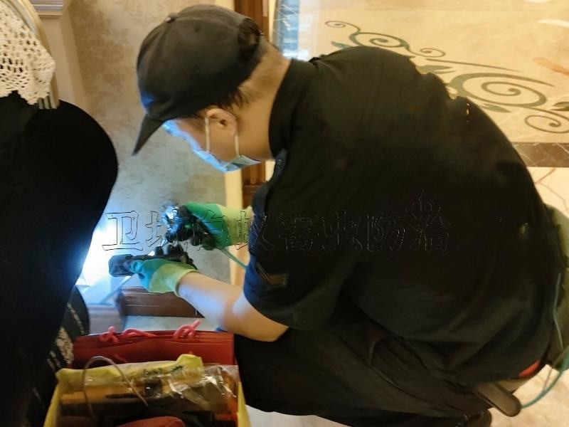 龙门白蚁防治中心,龙门灭白蚁公司,龙门处理白蚁